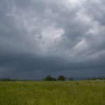Storm Gust Front
