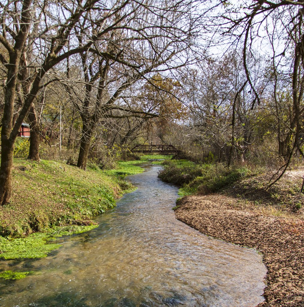 Bridge on the creek