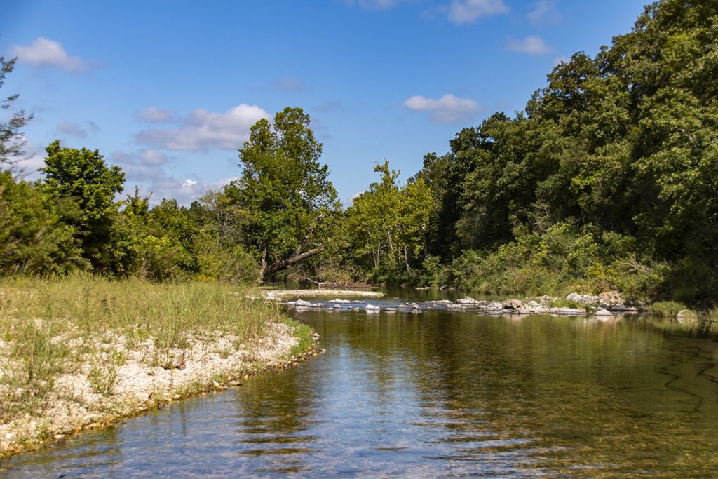 Lower Bear Creek 2