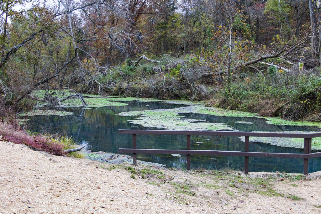 Stream Below Althea Spring