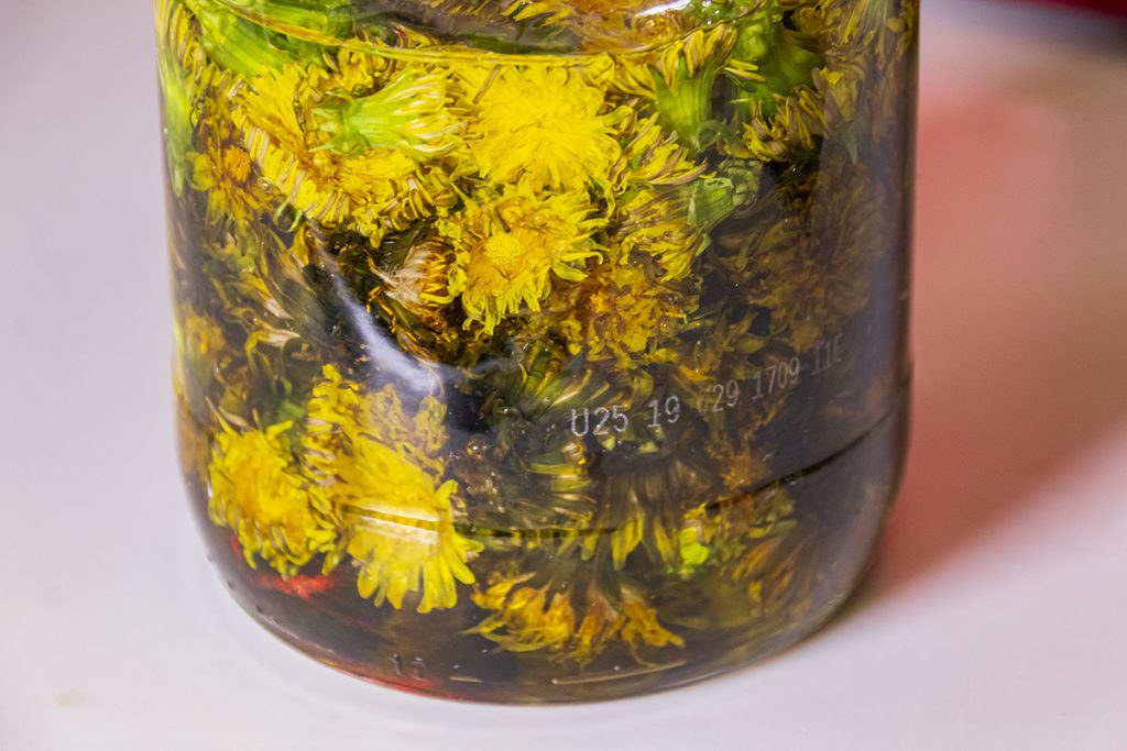 dandelion flowers in oil