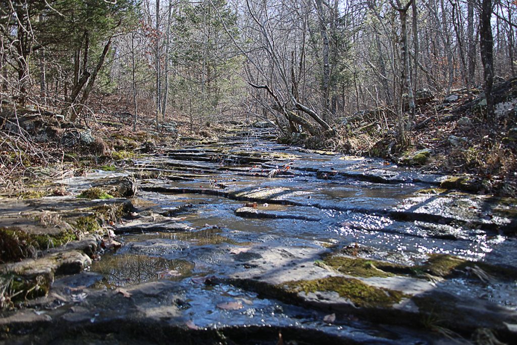 Paradise Falls - Lost In The Ozarks