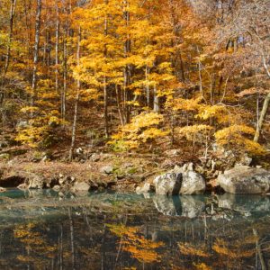Richland Creek Autumn