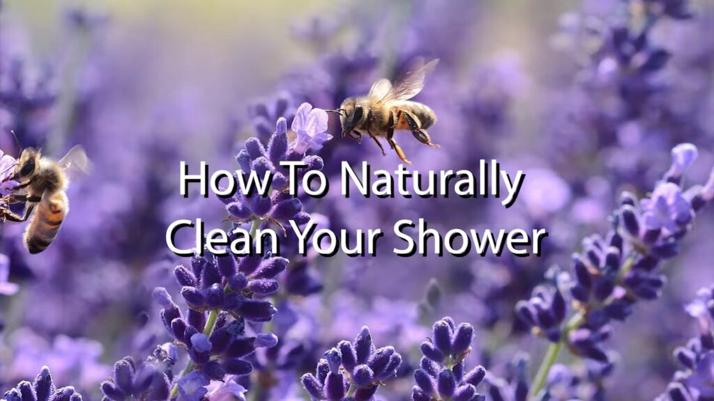 clean a shower