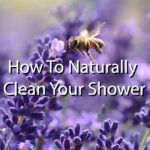 clean a shower