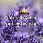 clean your dishwasher