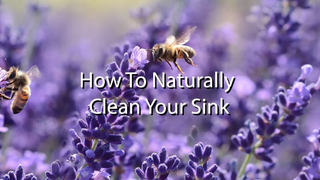 clean your sink