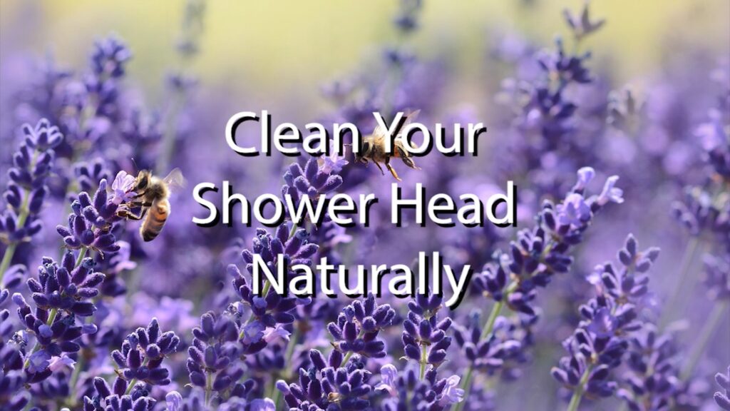 naturally clean a shower head