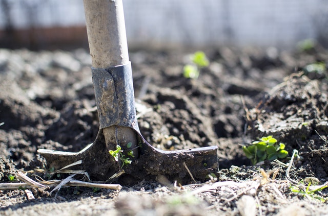 vegetable garden planning