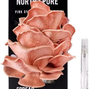 NS Pink Oyster Mushroom kit 1