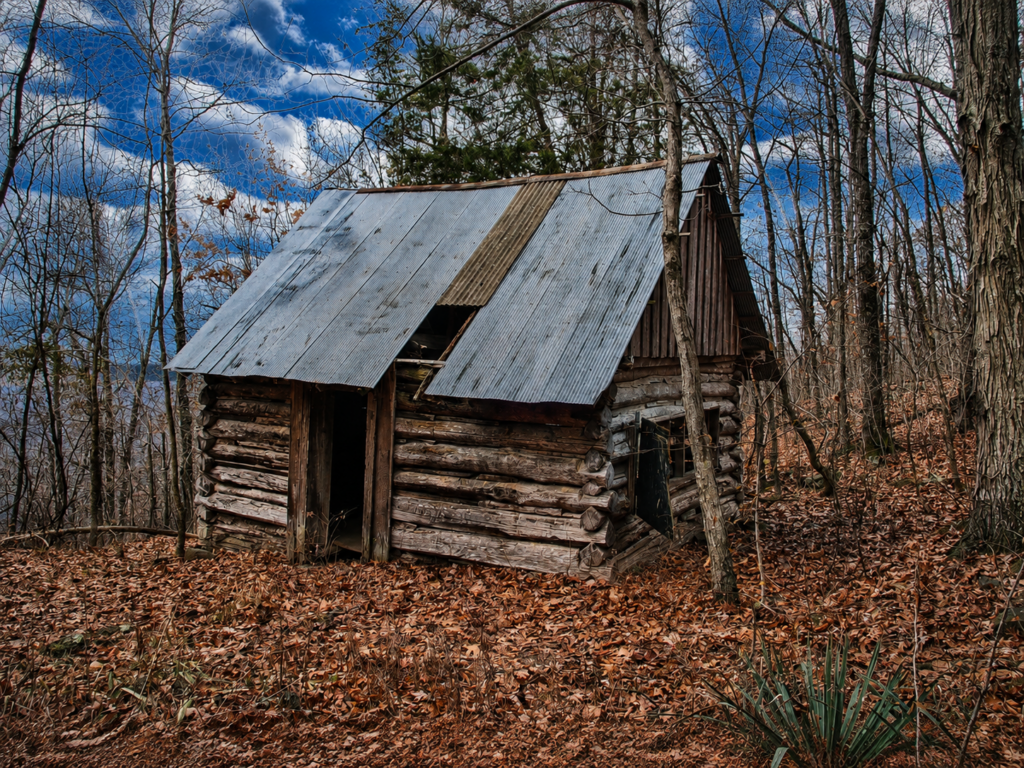 Wild Vic's Cabin