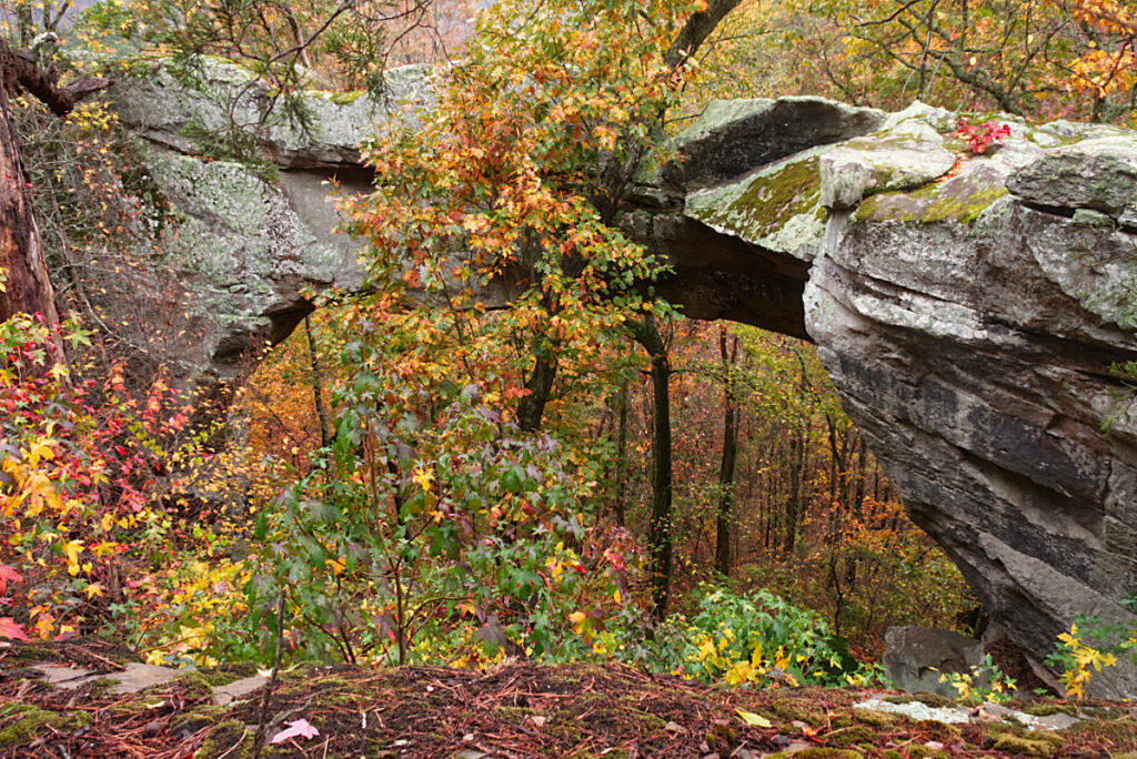 Large arch at buzzards roost