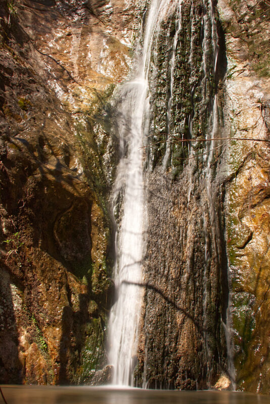 Leatherwood Wilderness