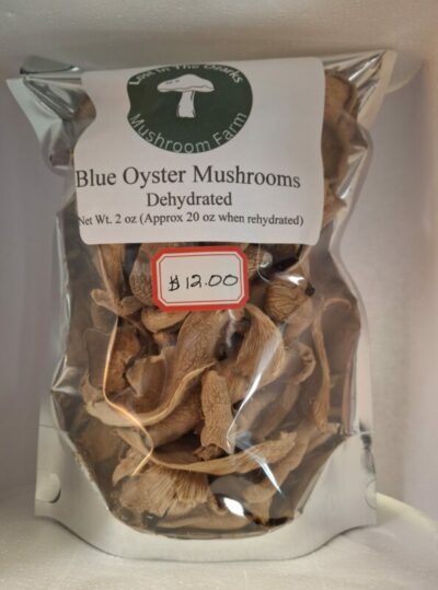 Blue oyster mushrooms dehydrated