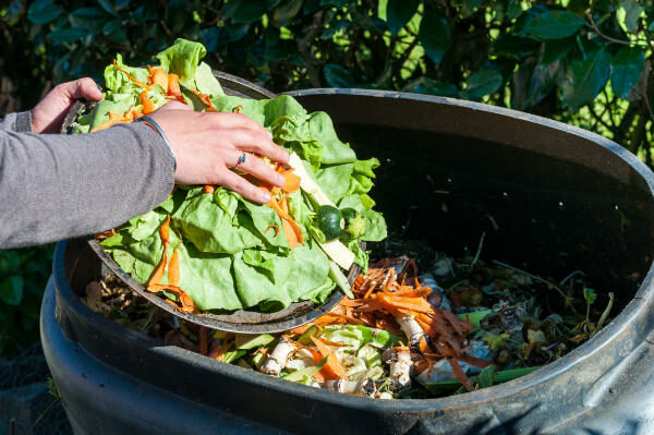 Materials That Should Not Be Composted