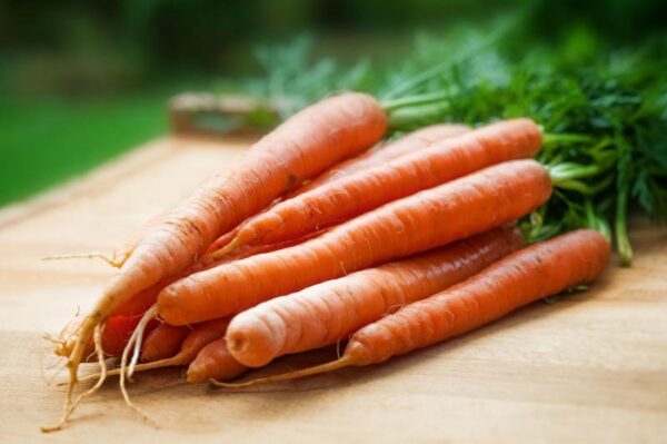 carrot seed essential oil benefits