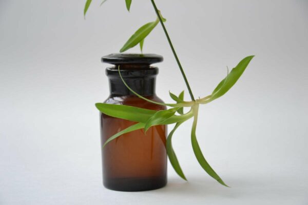 essential oil dilution guidelines