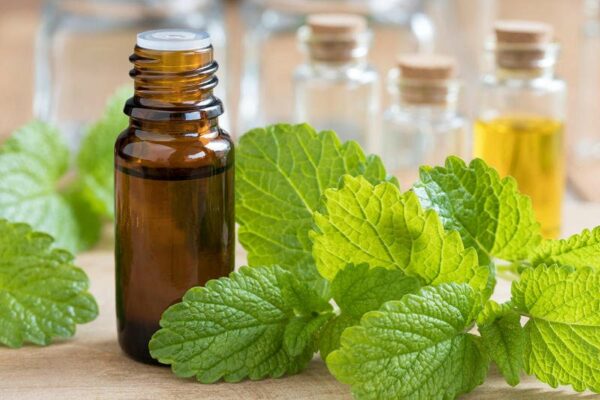 melissa essential oil benefits