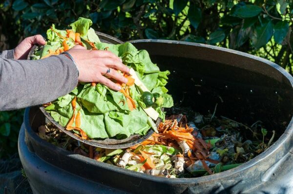 what can be composted