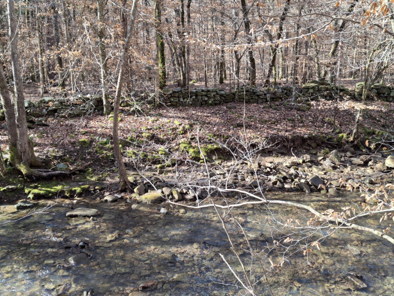 Rock Wall in Cub Hollow