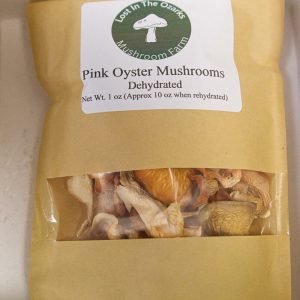 Pink Oyster Mushrooms