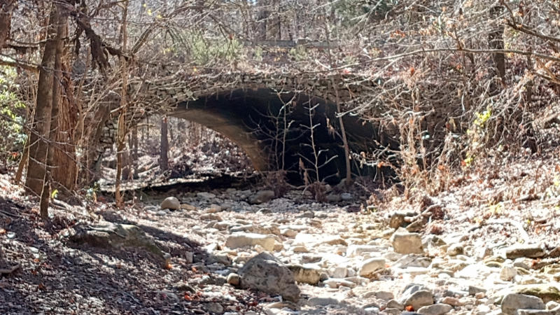 Bridge on the Buffalo River Trail