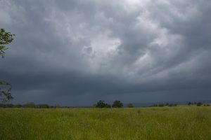 Storm Gust Front