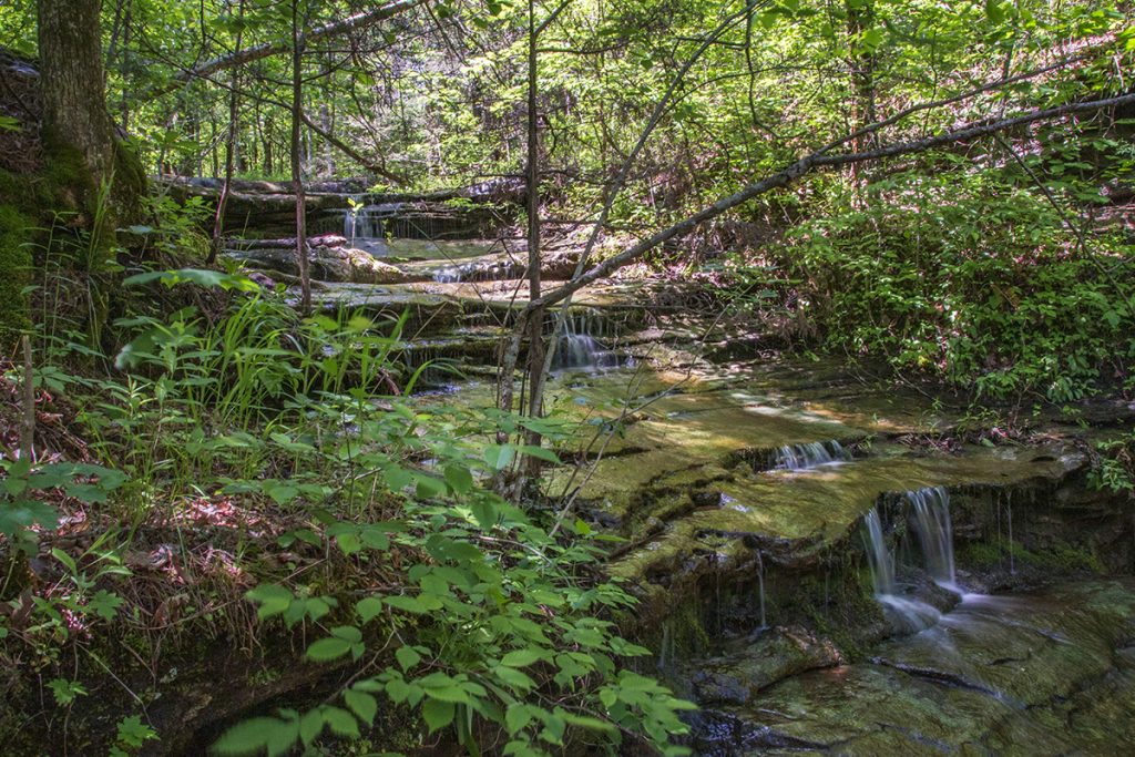 cascade above Liles Falls