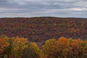 Ozarks Fall Colors