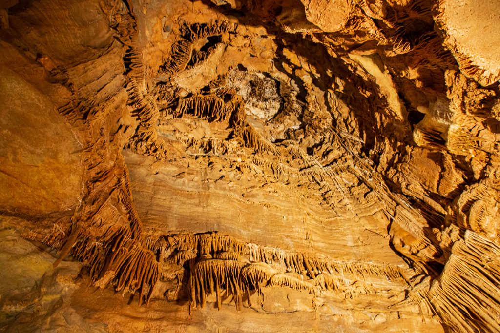 Looking Up Below The Crystal Dome
