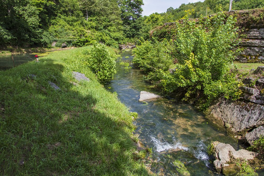 Bear Creek and Trout Farm