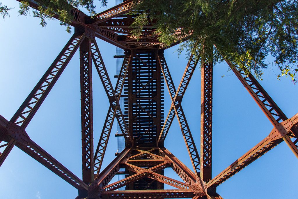 Underneath Myrtle Trestle