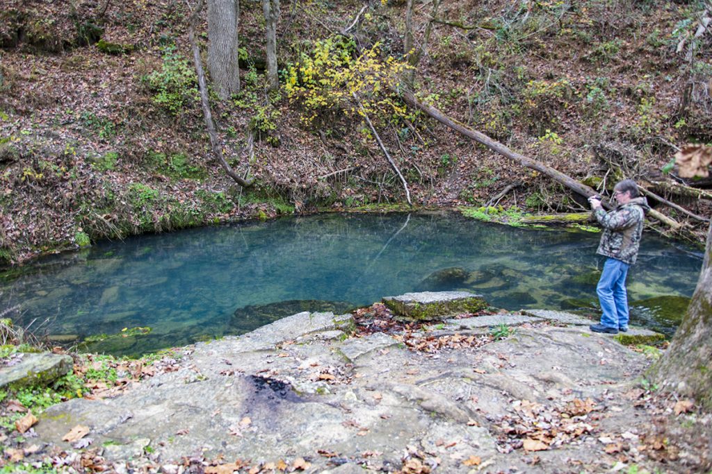 Althea Spring