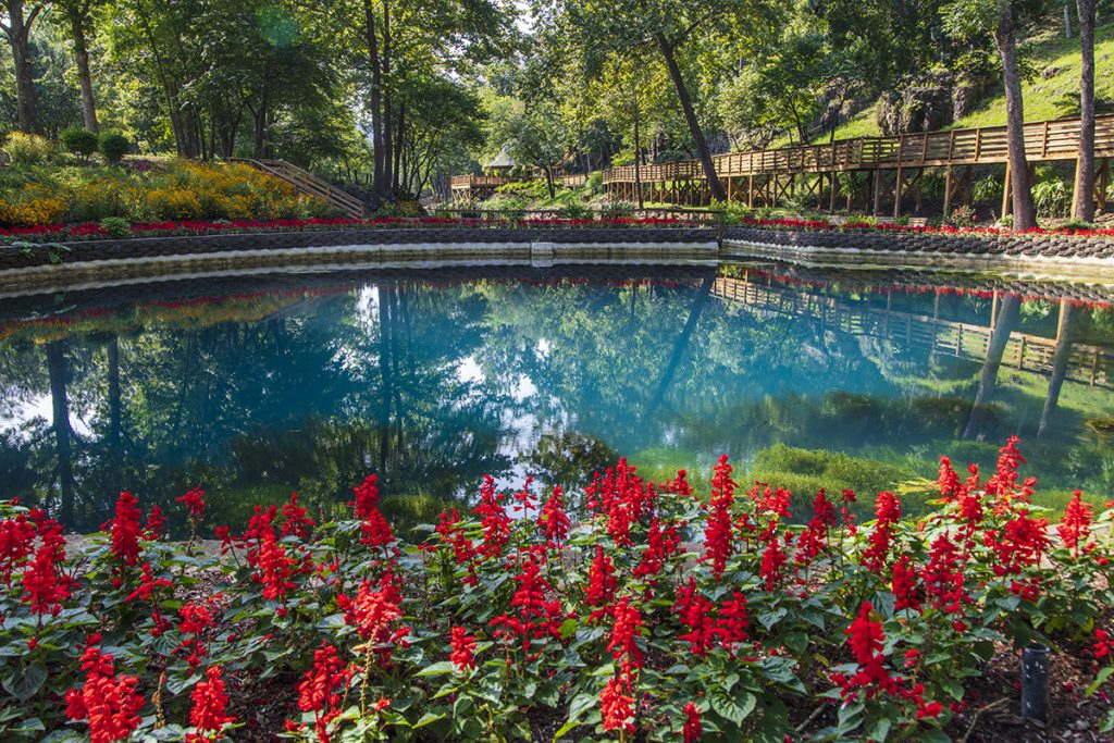 Blue Spring