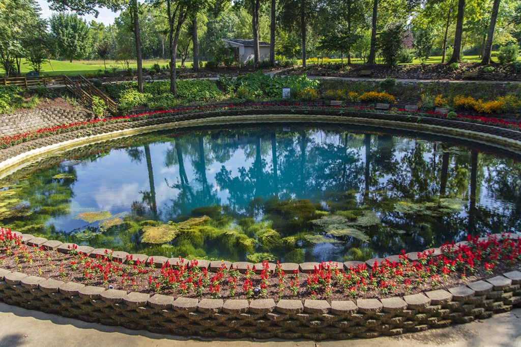 Blue Spring from above
