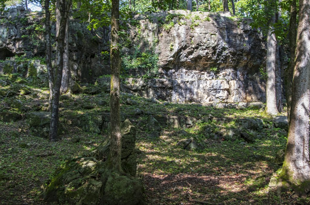 Rock Garden