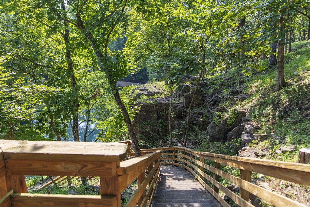 Stairs to the Spring