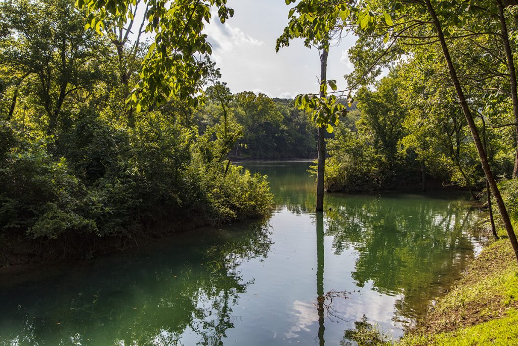 The Spring Flows Into The White River
