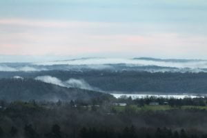 Fog on the lake