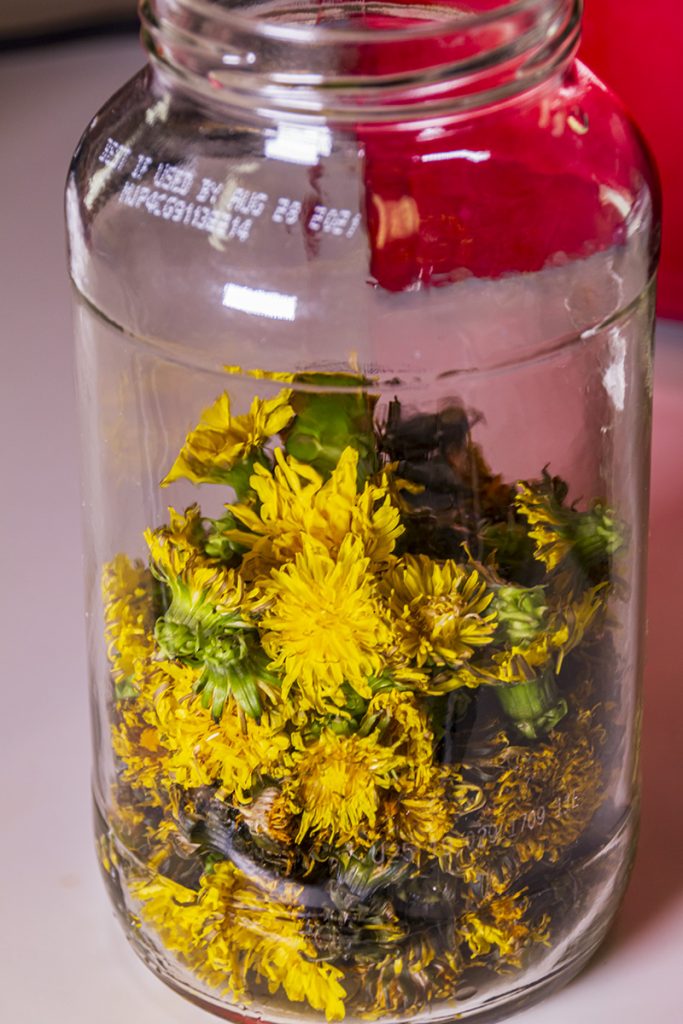 dandelion flowers in jar
