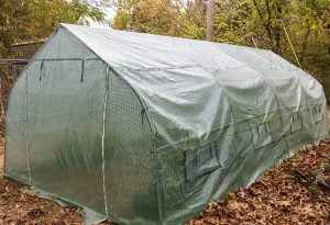 Greenhouse Gardening