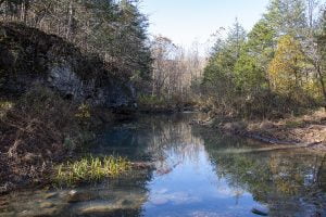 Cecil Creek