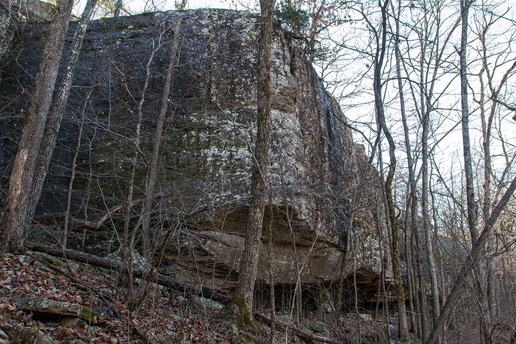 bluff 2