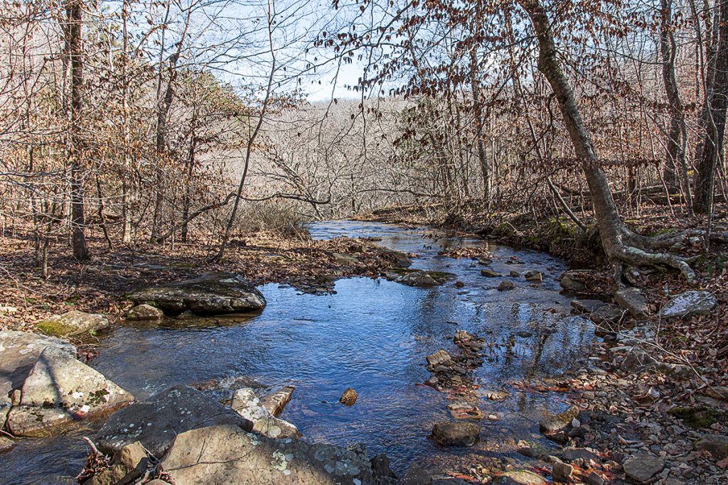Bowers Hollow Falls Stream Above