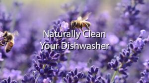 clean your dishwasher