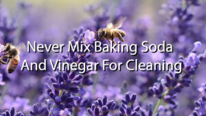 baking soda and vinegar