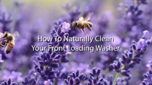 clean front load washer