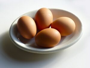 raising chickens