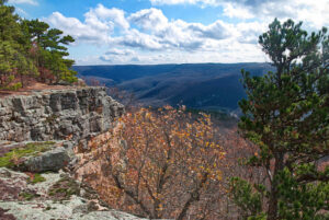 Antenna Pine Overlook