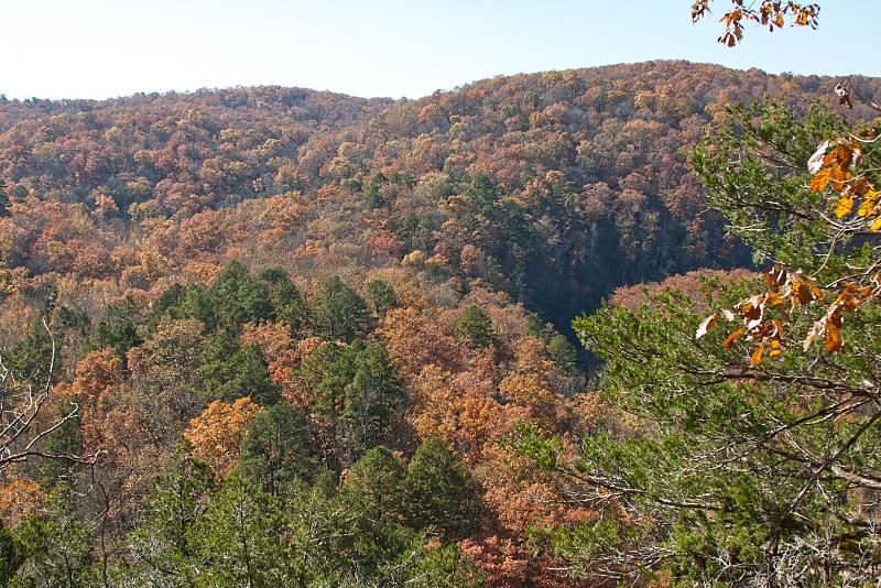 North Sylamore Creek Overlook